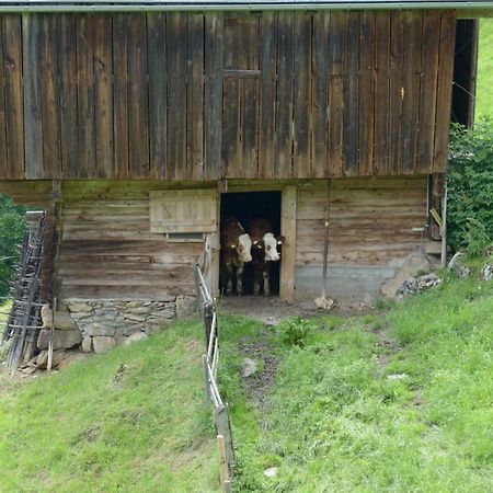 Bergpension-Ebental Brixen im Thale Eksteriør bilde