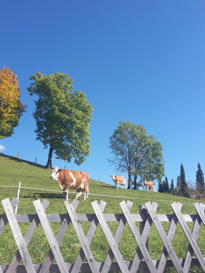 Bergpension-Ebental Brixen im Thale Eksteriør bilde