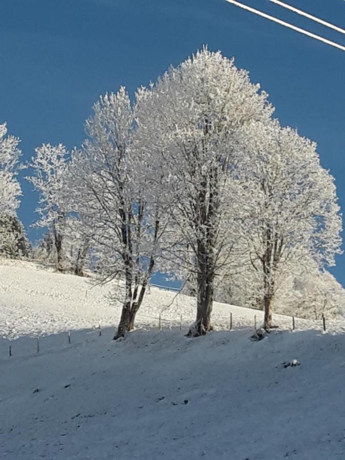 Bergpension-Ebental Brixen im Thale Eksteriør bilde