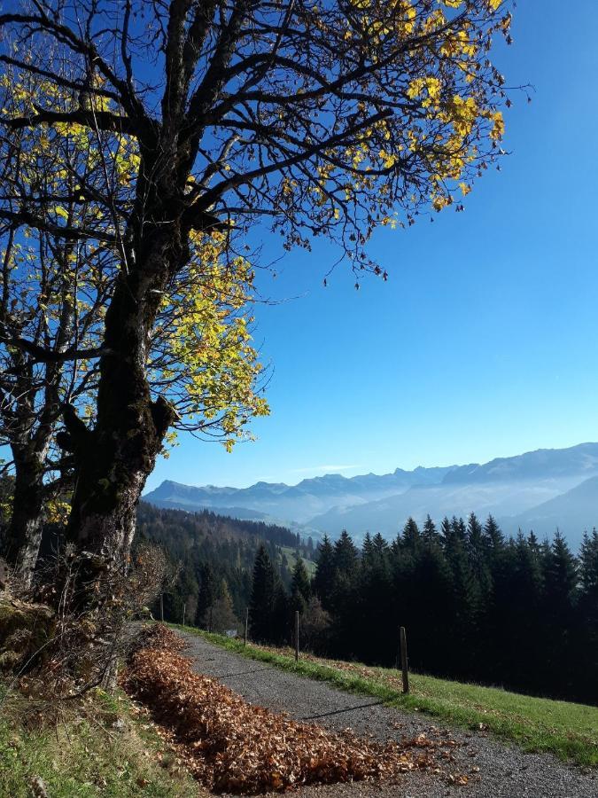Bergpension-Ebental Brixen im Thale Eksteriør bilde
