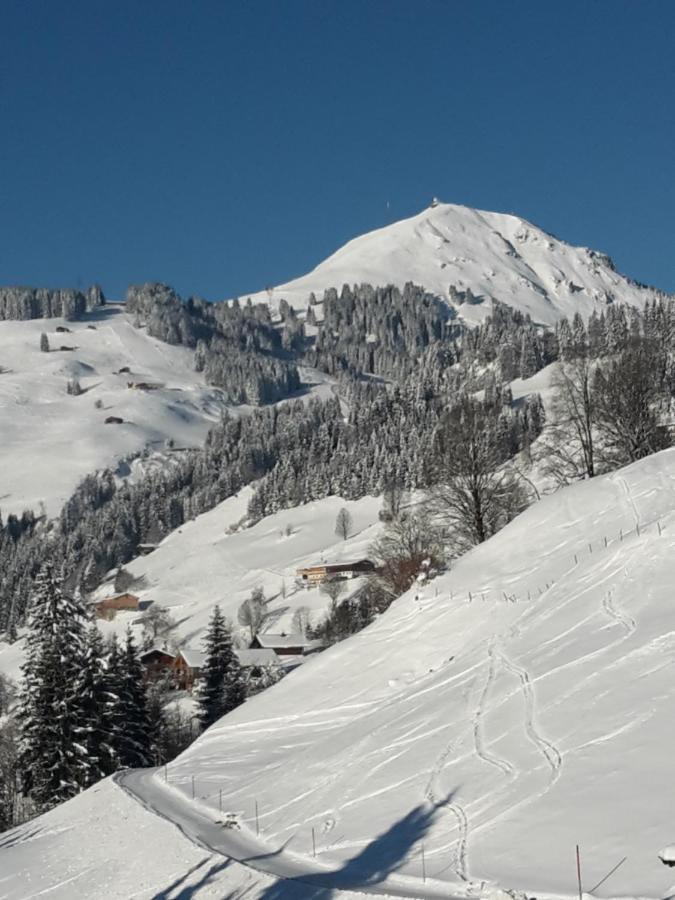 Bergpension-Ebental Brixen im Thale Eksteriør bilde