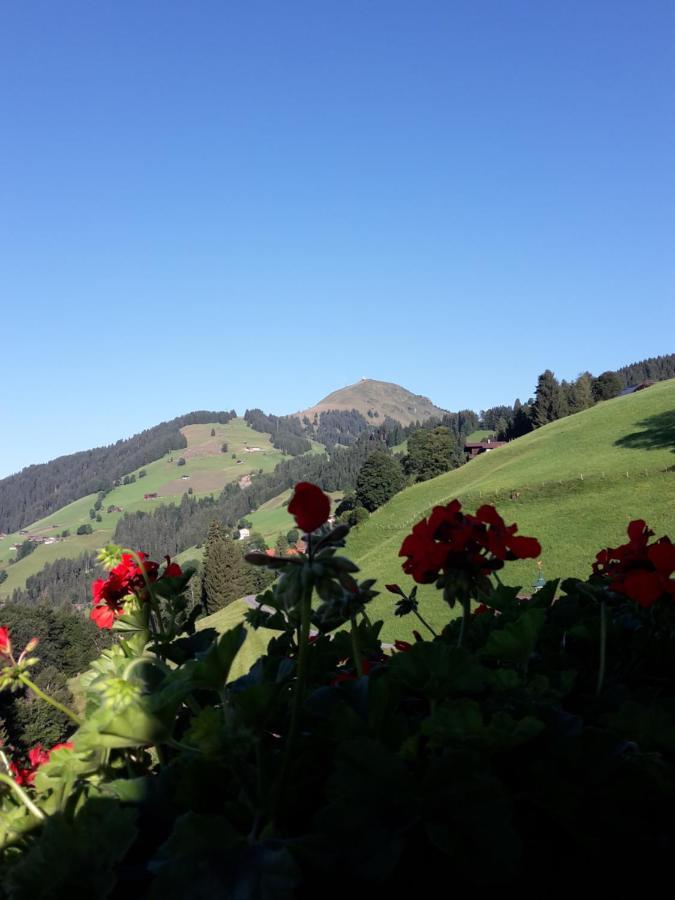 Bergpension-Ebental Brixen im Thale Eksteriør bilde